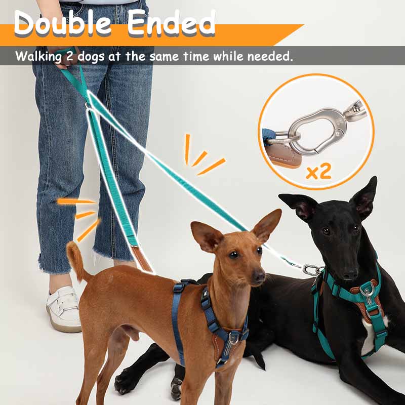 HamshMoc Dây Dắt Thú Cưng Đi Dạo 2 Đầu Đa Năng 5 Trong 1 Tùy Chỉnh