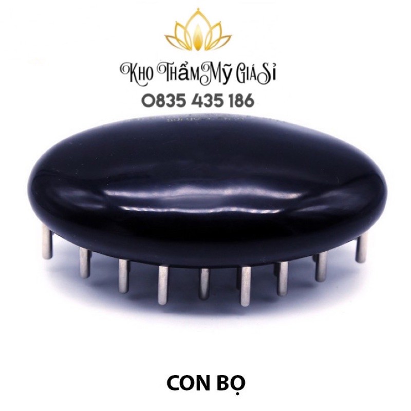 Con Bọ Lớn Diện Chẩn