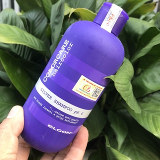 Dầu gội khử vàng dành cho tóc tẩy trắng, tóc bạch kim Silver Shampoo Elgon 300ml