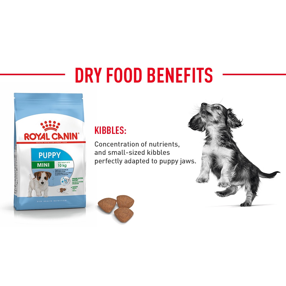 Thức ăn cho chó con Royal Canin Mini Puppy 800g