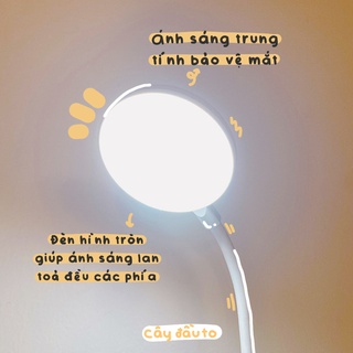 Đèn Bàn Học Rib Holder Lamp Light