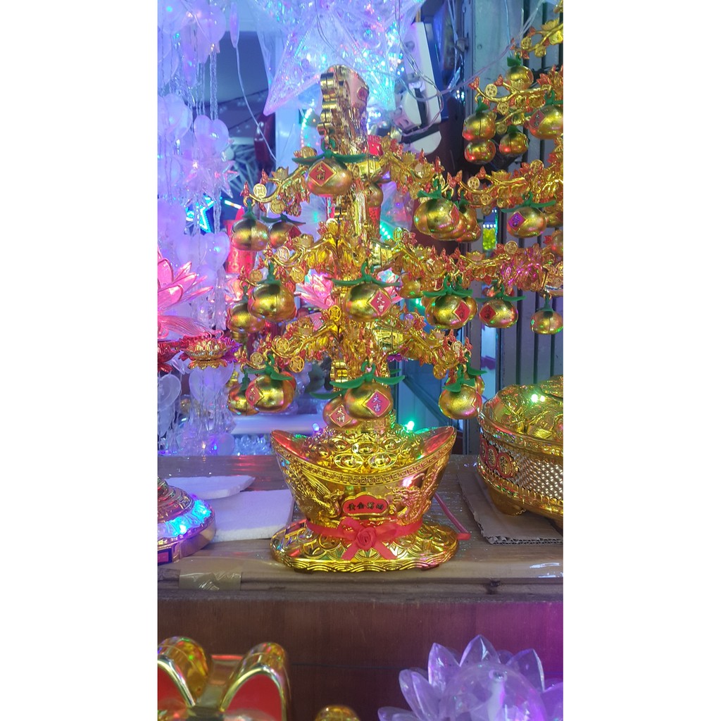 Cây Tắc Vàng có Led + xoay tròn