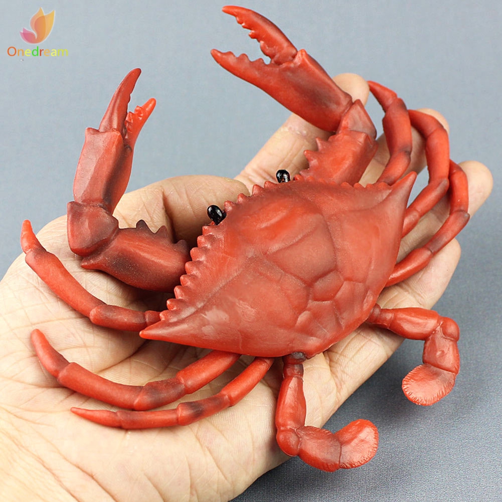 Đồ Chơi Mô Hình Con Cua Sống Động Cho Bé