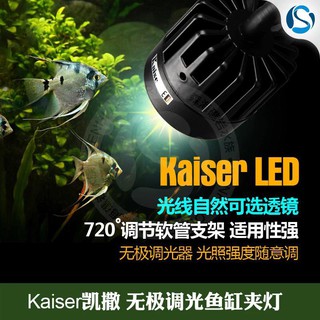 Đèn led rọi Kaiser 10W
