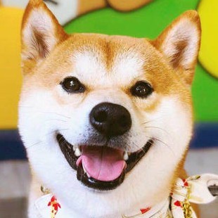 Aiersiteng Home & Living