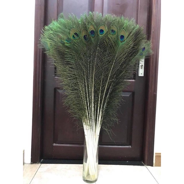 Lông công 80cm phong thủy LOẠI 1 mất lớn | BigBuy360 - bigbuy360.vn