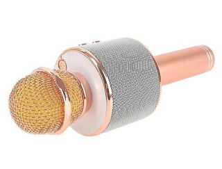 Micro hát karaoke Bluetooth 3in1 kèm loa WS-858