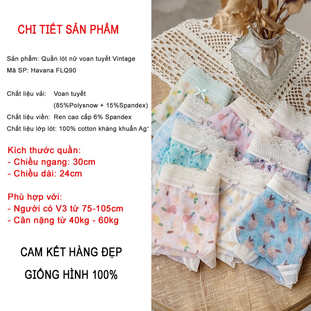 Quần lót nữ voan tuyết Vintage - quần chip nữ đẹp Havana FLQ90