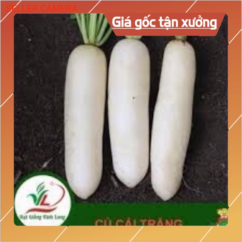 hạt giống cây củ cải trắng lá ngắn gói (20gr)