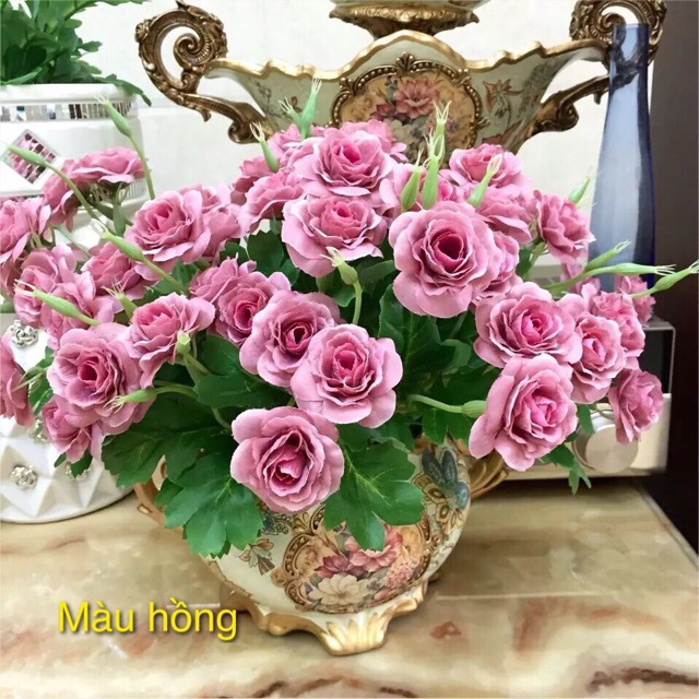 🌠chùm hoa hồng ngâu 5 màu