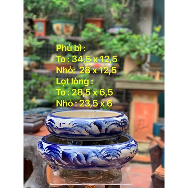 Ang tròn trồng cây bon sai - trồng cây bonsai cổ thụ ( có hỗ trợ vc cho khách => nhắn tin cho shop )