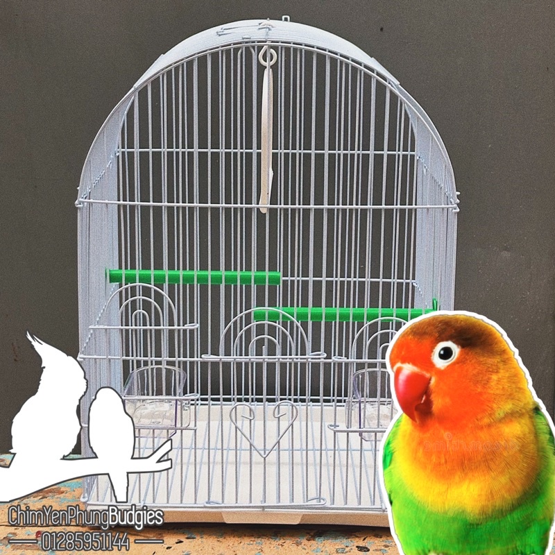 Lồng chim mái vòm cho chim cảnh (đủ phụ kiện) [SG-giao hoả tốc 2h]