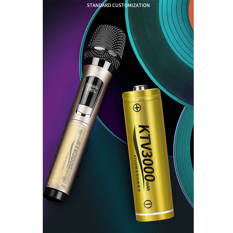 Pin sạc AA 3000mAh (vàng) chính hãng Doublepow - Pin dung lượng cao chuyên dùng cho Micro KTV, cửa ra vào, đồng hồ