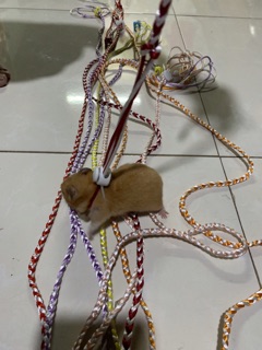 Dây dắt hamster có chuông
