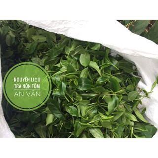 Matcha Trà xanh - AN VÂN TRÀ
