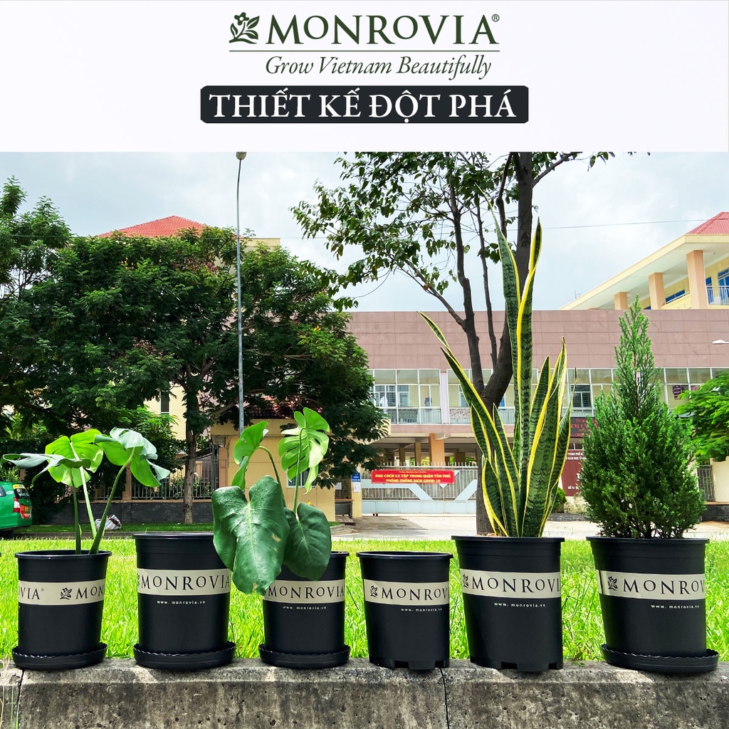 Chậu trồng cây MONROVIA màu đen, kèm đĩa lót, cây cảnh mini, trồng rau, hoa, để bàn, treo ban công, nhập khẩu