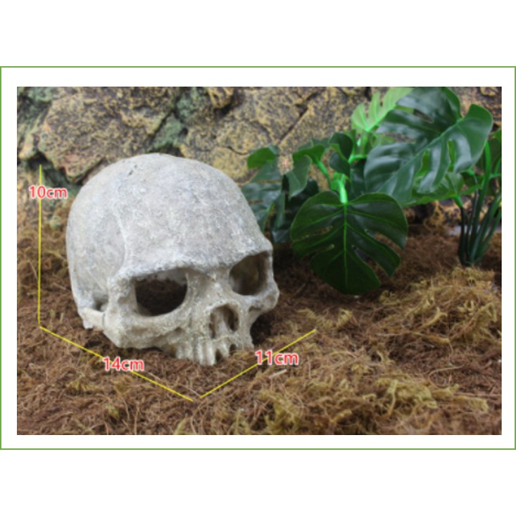 Sọ người trang trí bể cá_ thuỷ sinh