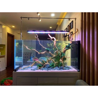 Bộ cáp và kẹp treo inox đa năng cho đèn wrgb2, triph, metal cho bể cá, bể thủy sinh