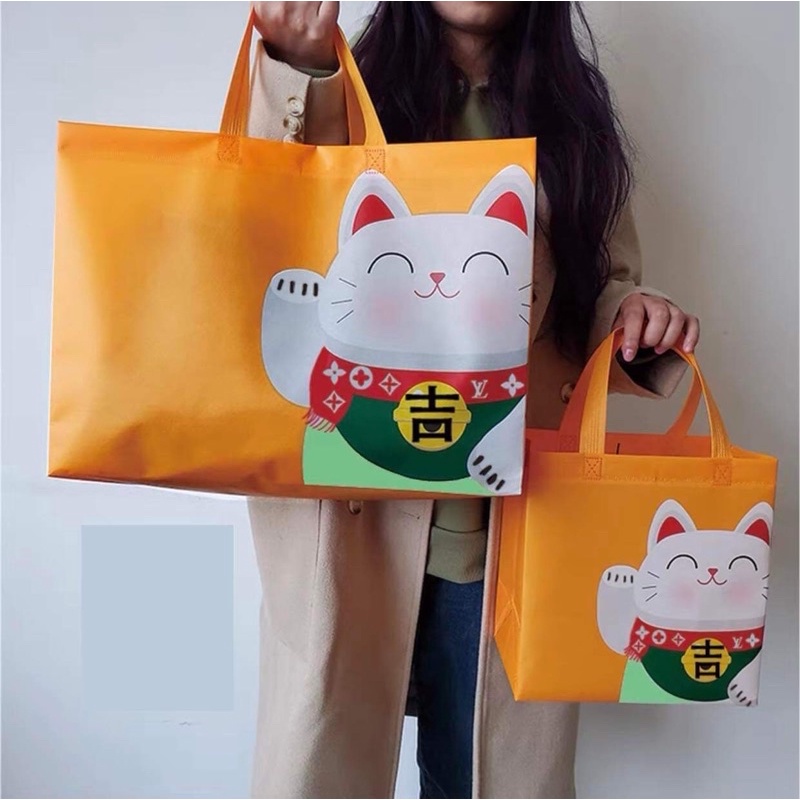 Túi vải không dệt thời trang bảo vệ môi trường