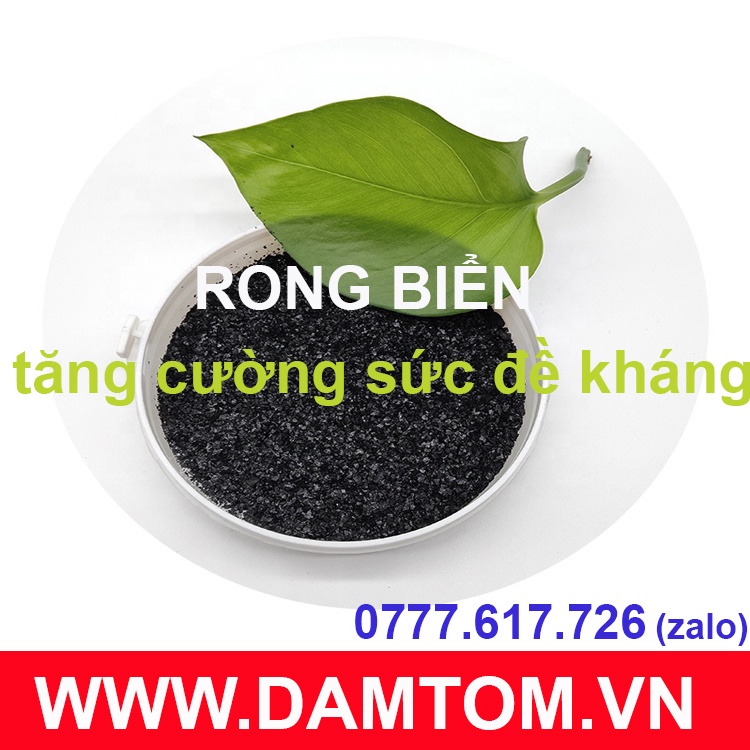 Gói 100g - Phân hữu cơ rong biển SEAWEED - Kích thích ra hoa, chống rụng hoa quả