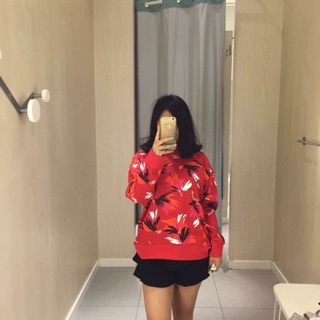 Combo áo bò , áo hm , áo kẻ dạ