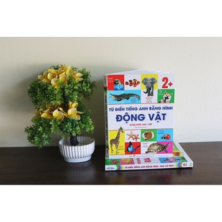 Tiếng Anh Bằng Hình - Động Vật