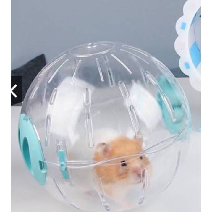 Banh / Bóng chạy cho Hamster có đèn