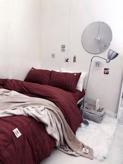COTTON 3F cao cấp