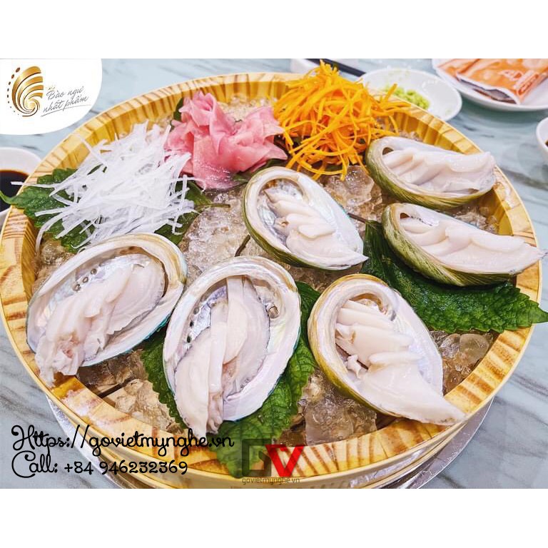 [Hàng chuẩn Nhật] Khay sushi sashimi gỗ trang trí món ăn sashimi Nhật Bản | hình Tròn Size Φ30cm - Gỗ thông nhập khẩu