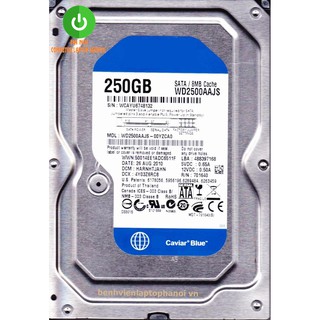 Ổ cứng máy bàn HDD WD/Seagate SATA 250GB (Bạc)