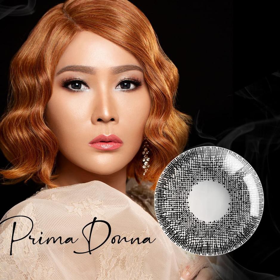 Mềm Lens X2 Fame Inul Daratista 14.50mm Normal And Minus (- 0.50 - D - 3.00) / Bb