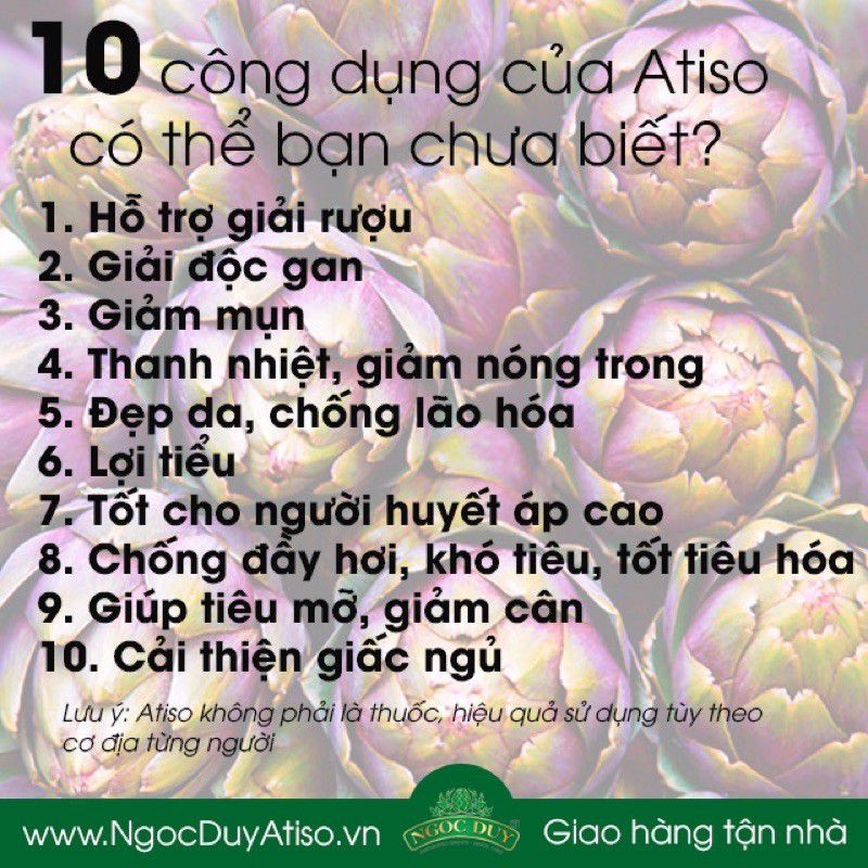 Trà túi lọc atiso Ngọc Duy Đà Lạt( loại 100 túi lọc)