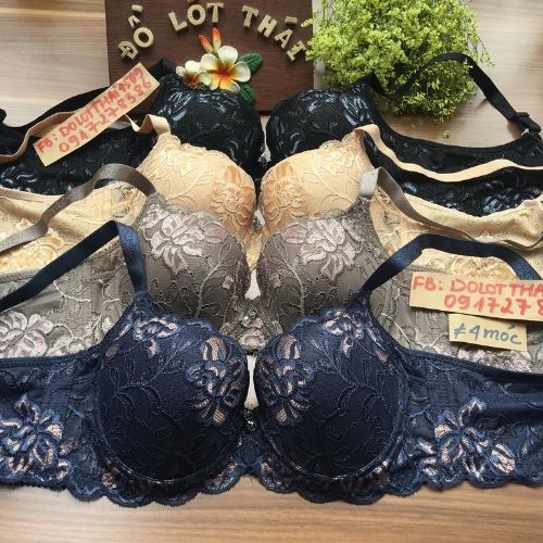 [Mã FATHANG5 giảm 10K đơn 50K] Áo ngực đệm mỏng , Áo lót cho người có vòng 1 to bản 4 móc cho người béo không gian eva | BigBuy360 - bigbuy360.vn