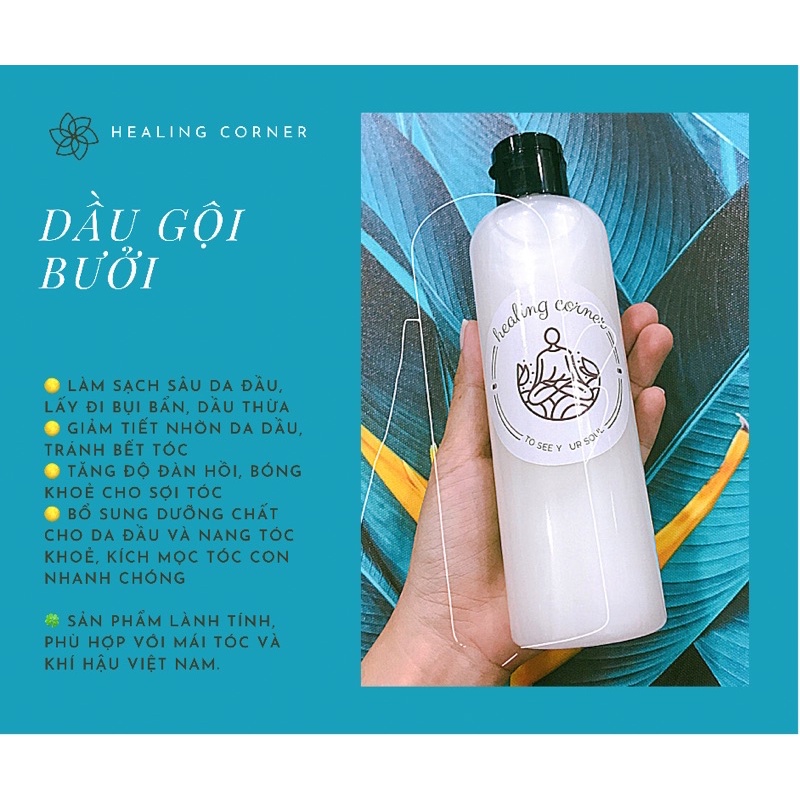 Dầu gội Bưởi giảm bết, gàu, ngứa da đầu - Healing corner