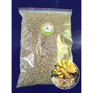 Đá bọt núi lửa PUMICE -Trọng lượng 1Kg