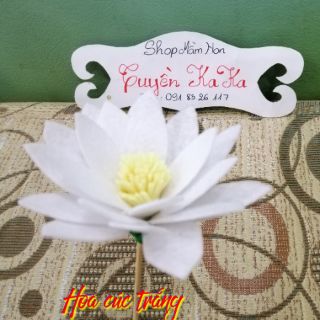 Thanh lý Rối tay Hoa Cúc Trắng