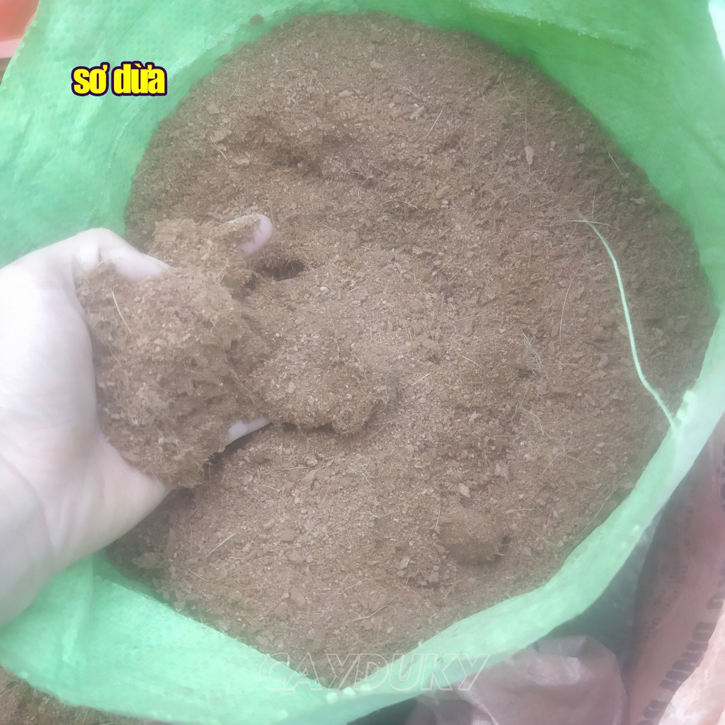 1 kg mụn xơ dừa đã qua xử lý, Sơ dừa - giá thể trồng cây cảnh, trồng rau trong chậu