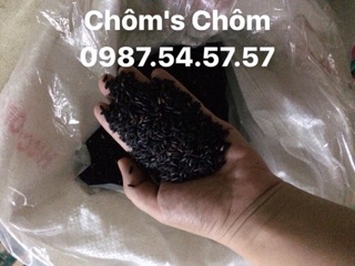 Combo 2,5kg nếp cẩm