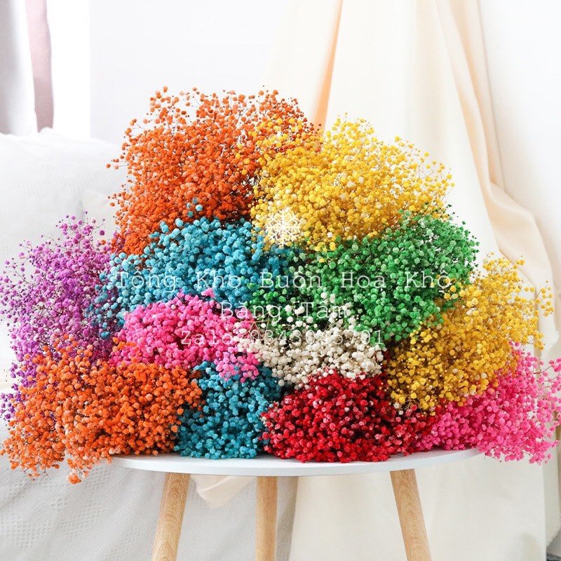 Hoa Baby Thô Trang Trí, Hoa khô decor trang trí nhà cửa, phòng ngủ, HOAKHO_BANG_TAM