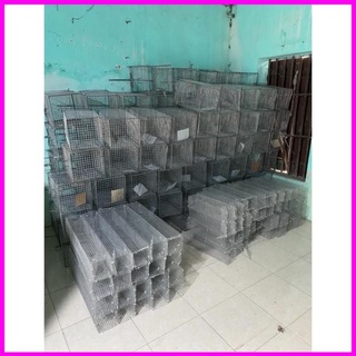 Lồng bẫy đa năng - lồng bẫy mèo - lồng bẫy chuột
