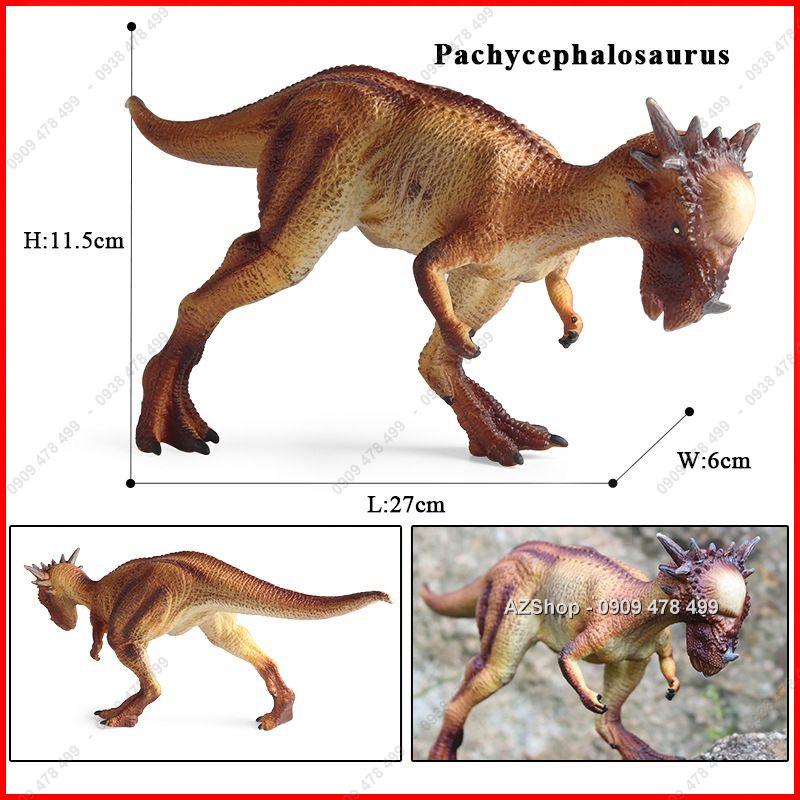 Mô Hình Khủng Long Đầu Vòm Sừng Pachycephalosaurus - Dài 27cm - 7756.6