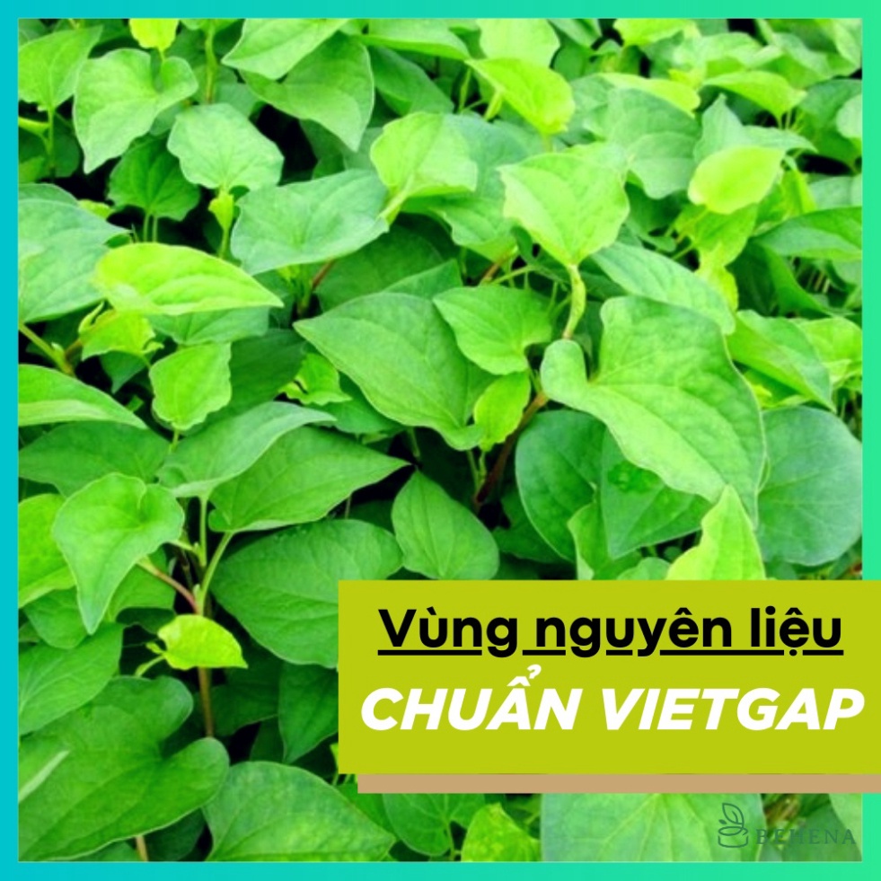 Bột Diếp Cá Behena 50g Giảm Mỡ Giảm Cân, Lợi Tiểu, Giải Độc, Tăng Cường Sức Đề Kháng