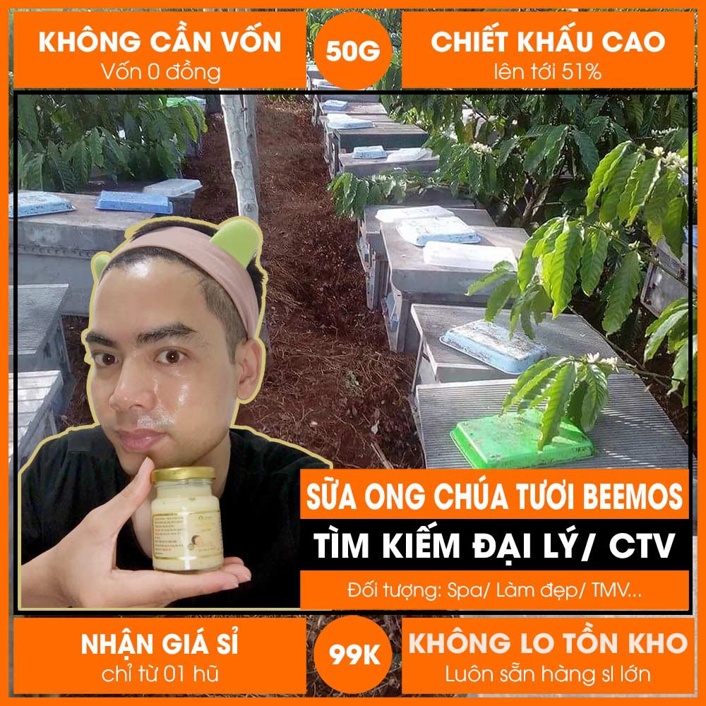 [Sale 5p] BeeMos Sữa ong chúa tươi nguyên chất 100% Combo +4 Quà tặng 8 món: Băng đô+Cọ+Muỗng+Chun [Giữ lạnh tuyệt đối]