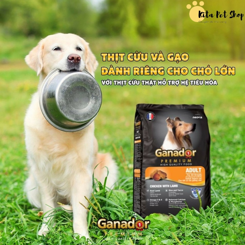 Thức Ăn Cho Chó Gói 400gr Chó Con Chó Trưởng Thành Chó Lớn Ganador - FIB's- Smartheart - adult - puppy
