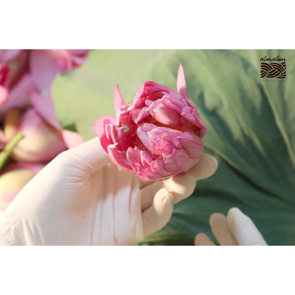 Nước Thơm theo mùa (Toner) Đồn Điền - 100ml | Tự chọn mùi hương | BigBuy360 - bigbuy360.vn