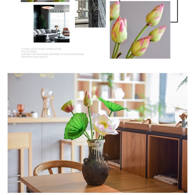 Combo hoa chị Ánh