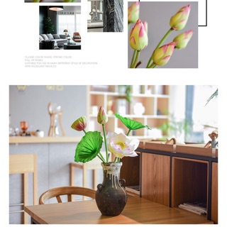 Combo hoa chị Ánh