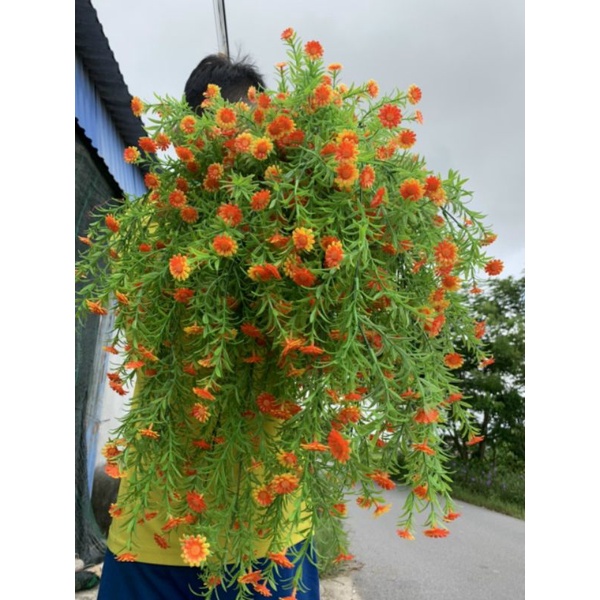 Rủ Hoa Cúc Trang Trí Siêu xinh_ Hoa Giả Treo Tường Cao Cấp