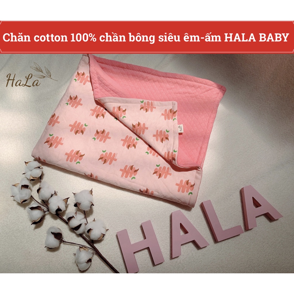 Chăn bé đi học cotton 100% chần bông cao cấp siêu mềm ấm - HALA BABY