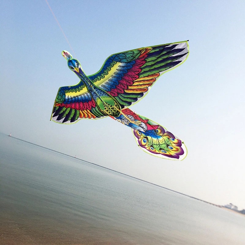 DIỀU CÔNG PHONG CÁCH XỨ HUẾ - DIỀU CỒNG SIỀU ĐẸP - THÁI BÌNH.VN_17